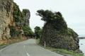 NZ2012_333