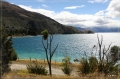 NZ2012_571