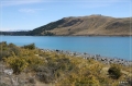 NZ2012_854