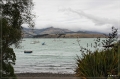 NZ2012_872