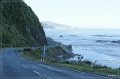 NZ2012_450