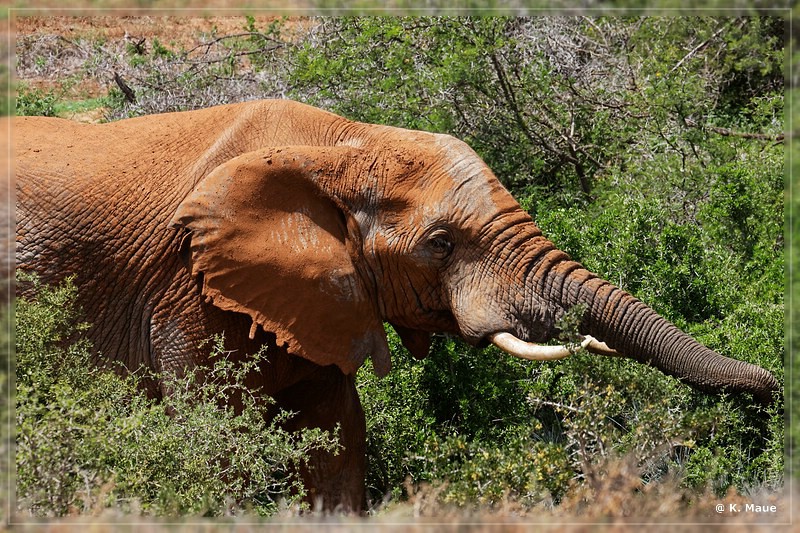 suedafrika_2019_0301.jpg