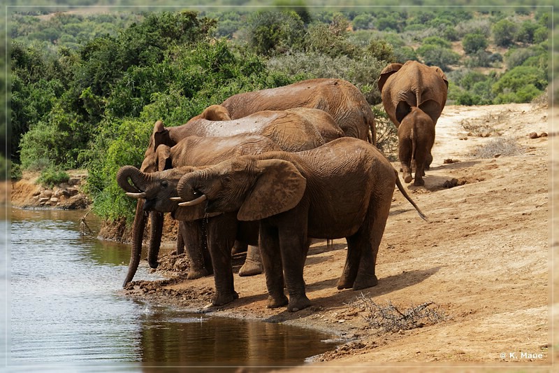 suedafrika_2019_0307.jpg