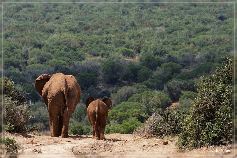 suedafrika_2019_0308.jpg