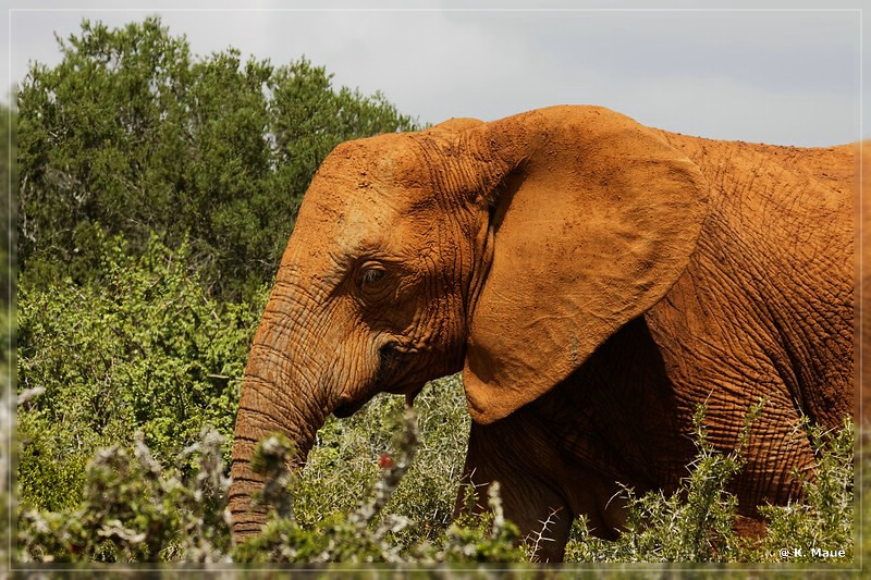 suedafrika_2019_0309.jpg