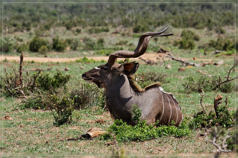 suedafrika_2019_0310.jpg