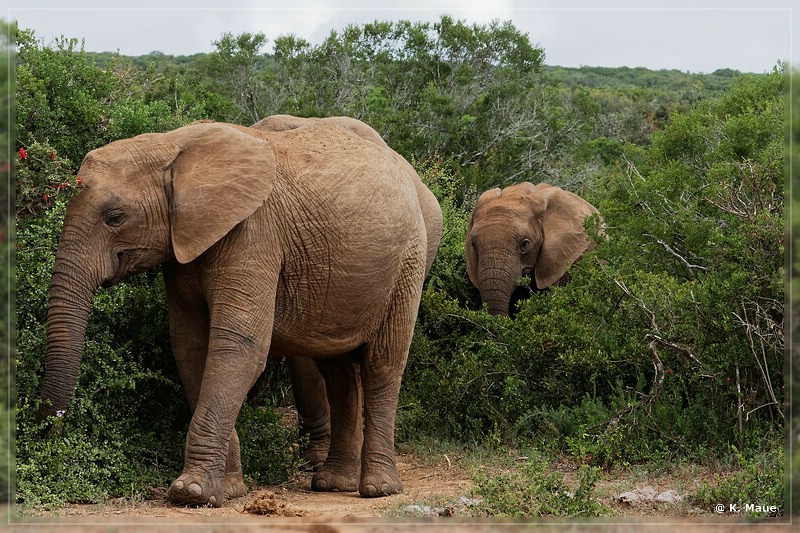 suedafrika_2019_0311.jpg