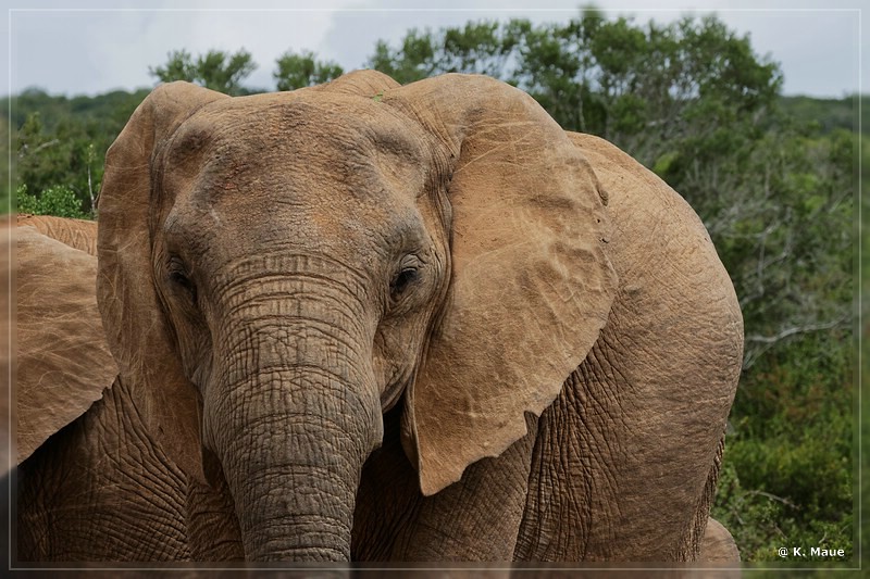 suedafrika_2019_0312.jpg