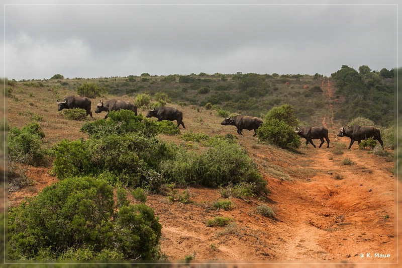 suedafrika_2019_0314.jpg