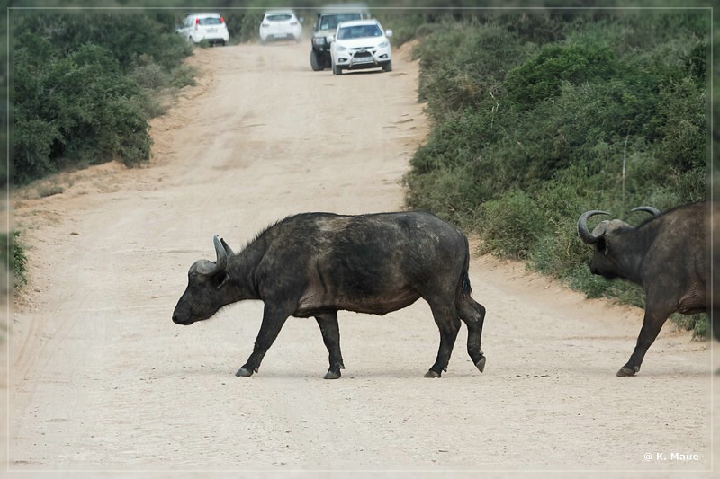 suedafrika_2019_0316.jpg