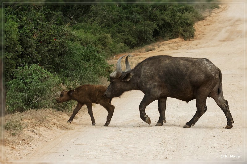 suedafrika_2019_0317.jpg