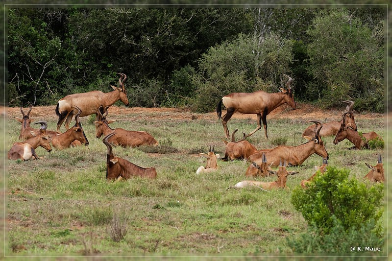 suedafrika_2019_0318.jpg