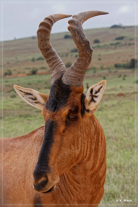 suedafrika_2019_0319.jpg