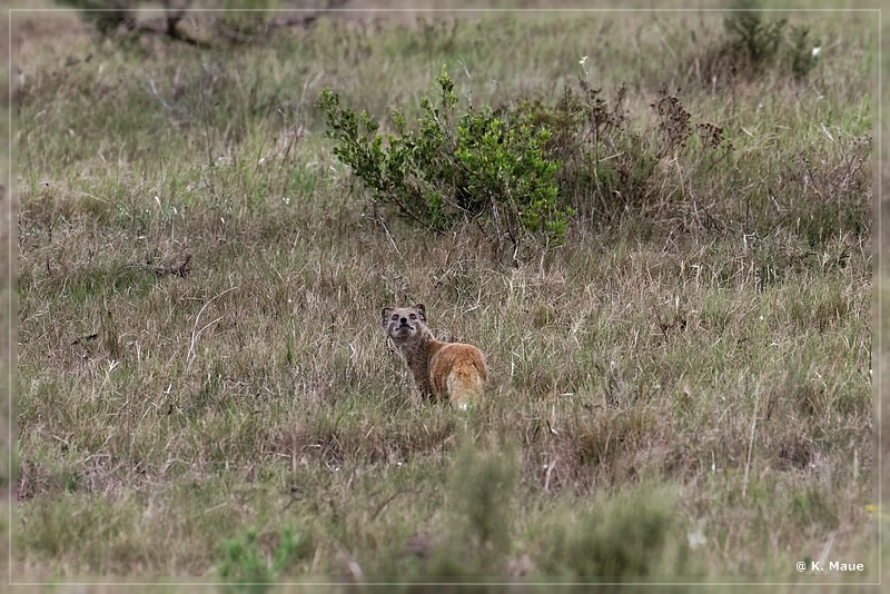 suedafrika_2019_0322.jpg