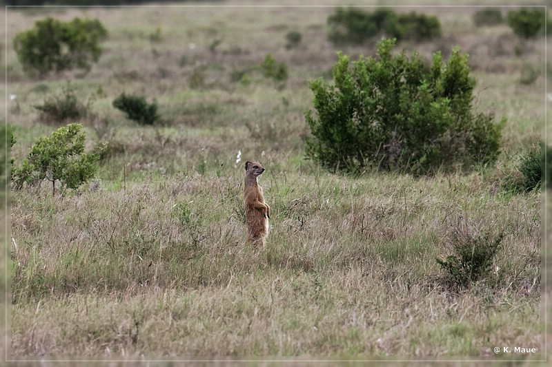 suedafrika_2019_0323.jpg