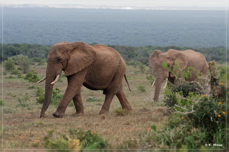 suedafrika_2019_0324.jpg