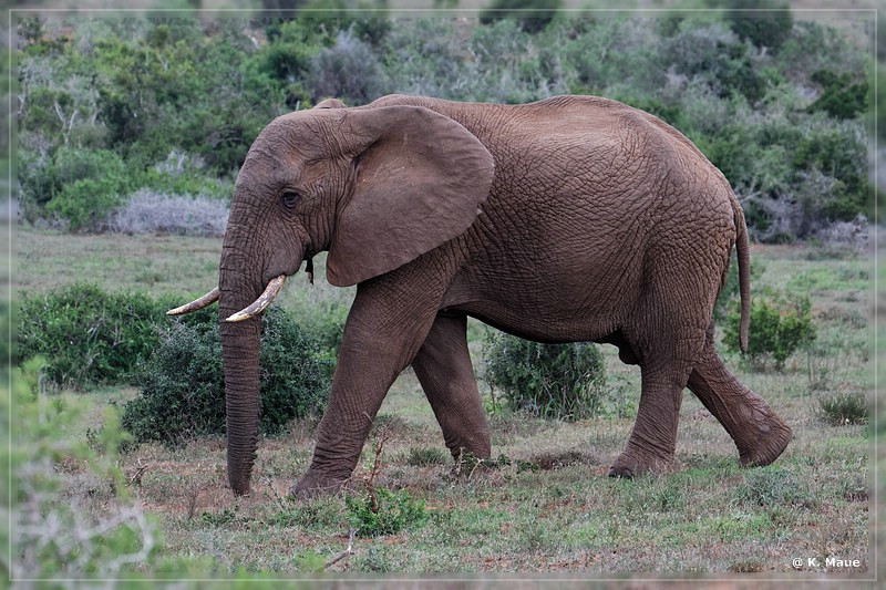 suedafrika_2019_0326.jpg