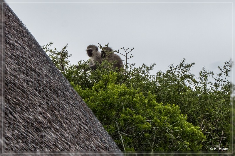 suedafrika_2019_0329.jpg