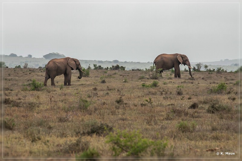 suedafrika_2019_0336.jpg