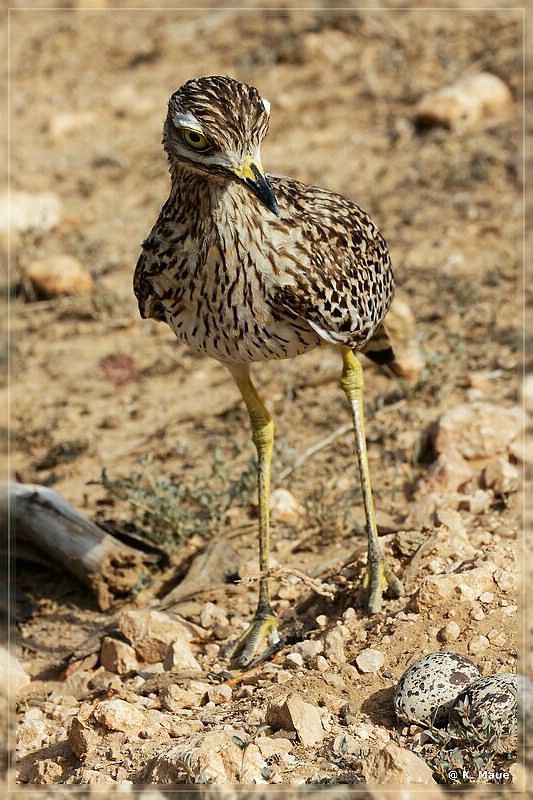 suedafrika_2019_0347.jpg