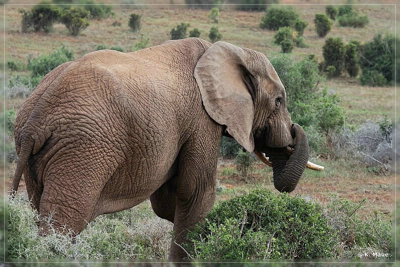 suedafrika_2019_0348.jpg