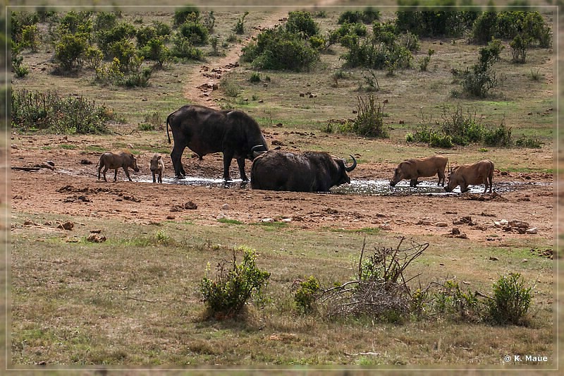 suedafrika_2019_0351.jpg