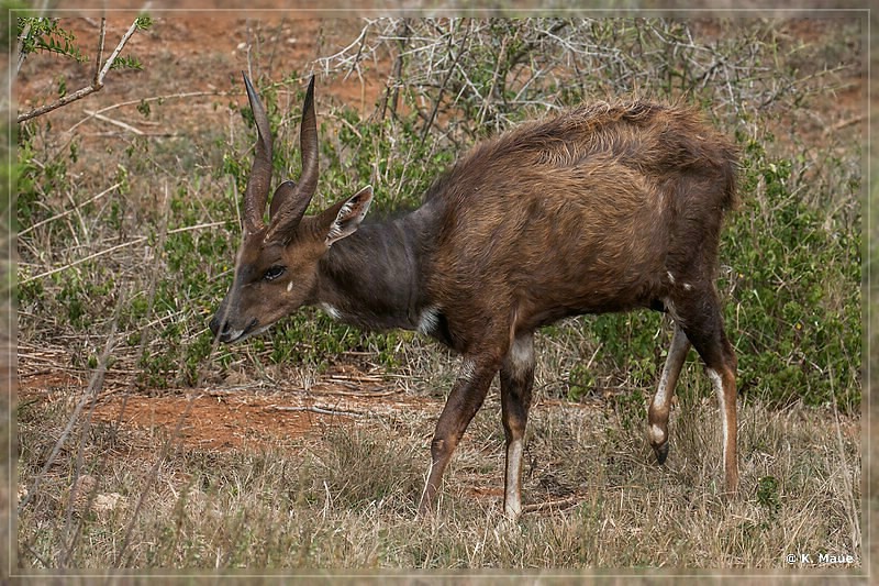 suedafrika_2019_0354.jpg