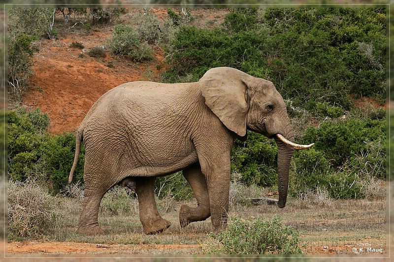 suedafrika_2019_0355.jpg