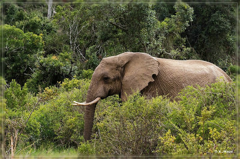 suedafrika_2019_0356.jpg