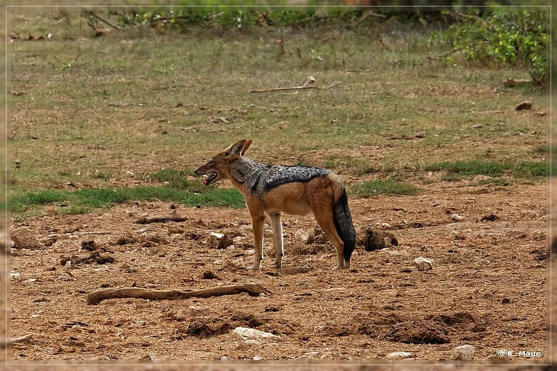 suedafrika_2019_0359.jpg