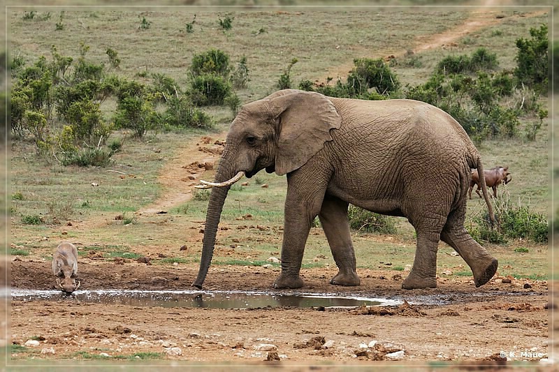 suedafrika_2019_0361.jpg