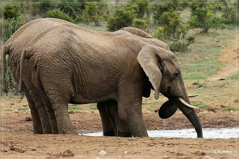 suedafrika_2019_0364.jpg