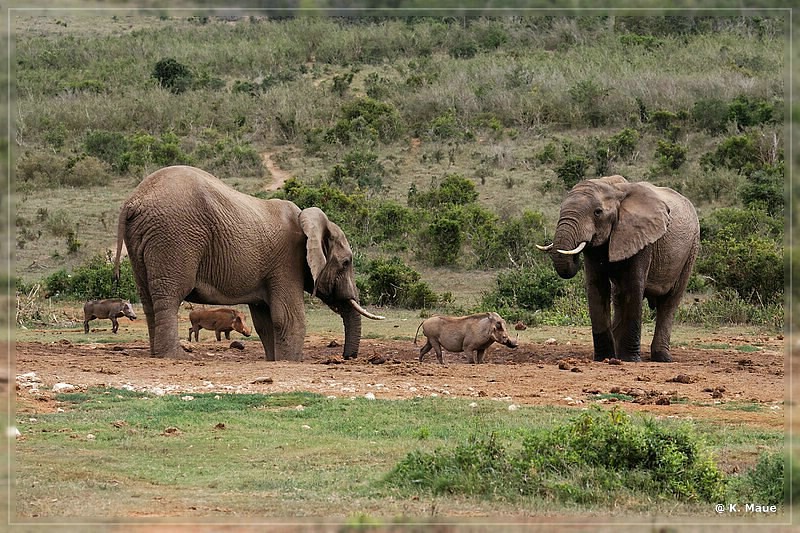 suedafrika_2019_0365.jpg