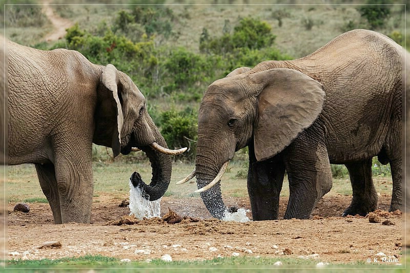 suedafrika_2019_0366.jpg