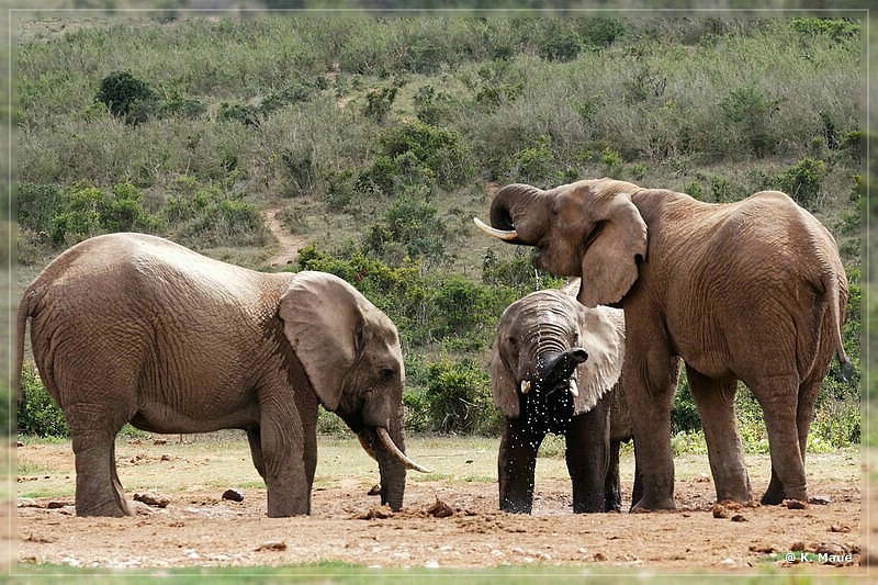 suedafrika_2019_0368.jpg