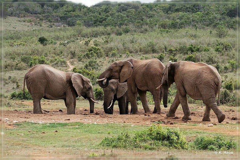 suedafrika_2019_0369.jpg