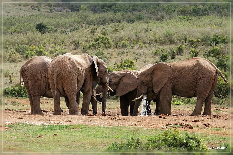 suedafrika_2019_0370.jpg