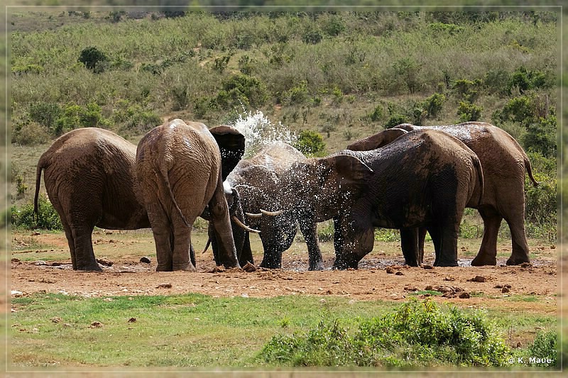 suedafrika_2019_0371.jpg