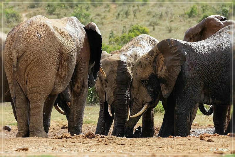 suedafrika_2019_0372.jpg