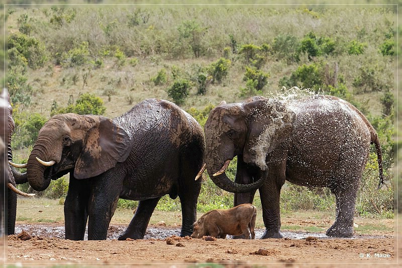 suedafrika_2019_0373.jpg