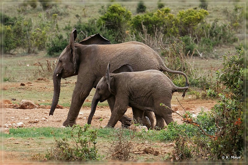 suedafrika_2019_0377.jpg