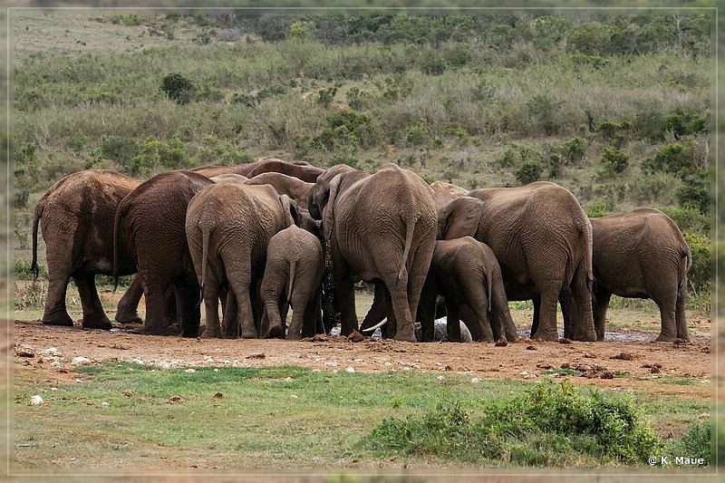 suedafrika_2019_0380.jpg