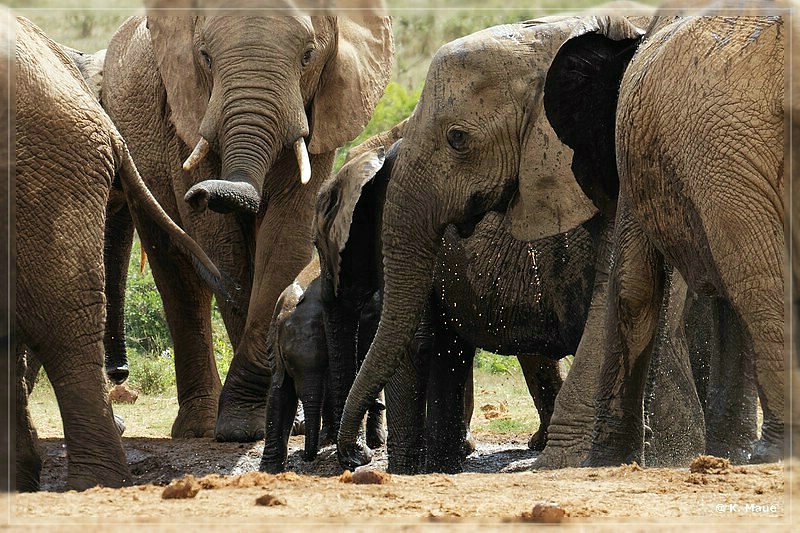 suedafrika_2019_0382.jpg