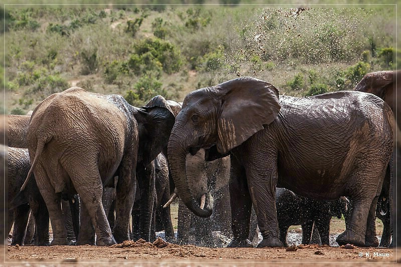 suedafrika_2019_0383.jpg