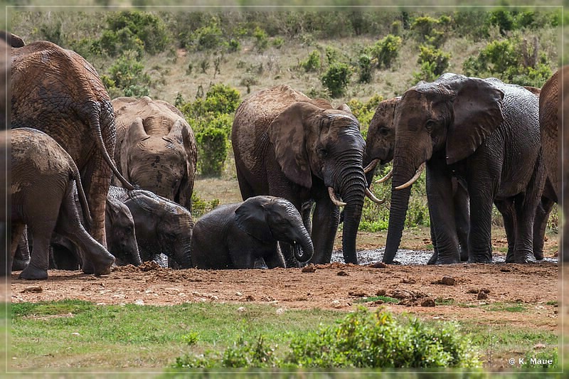 suedafrika_2019_0384.jpg