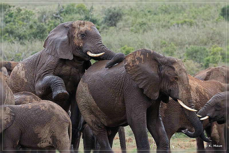 suedafrika_2019_0385.jpg