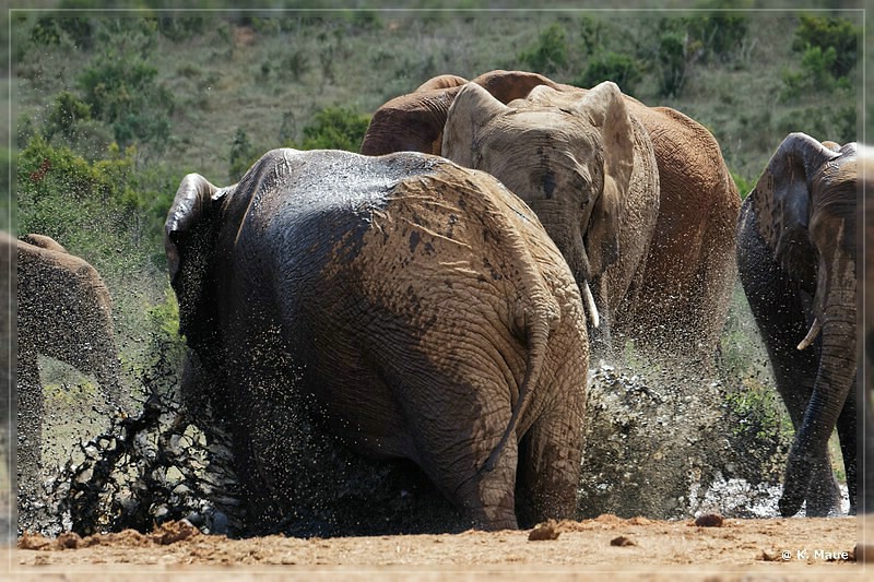 suedafrika_2019_0387.jpg