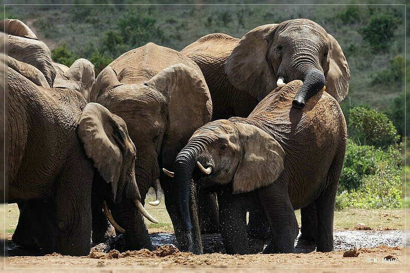 suedafrika_2019_0388.jpg