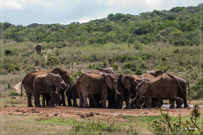 suedafrika_2019_0389.jpg