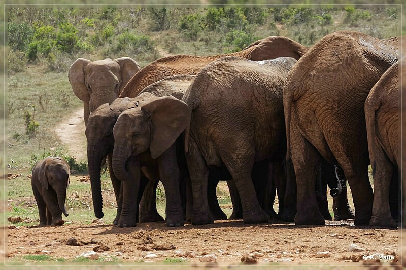 suedafrika_2019_0390.jpg